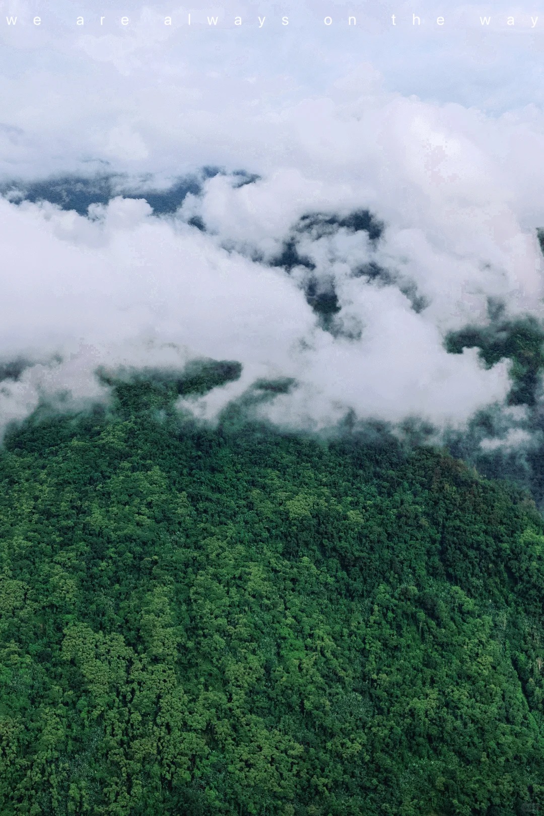 “我们一起去了墨脱”_6_贺贺-贺小唏_墨脱-来自52tours 我爱旅游网